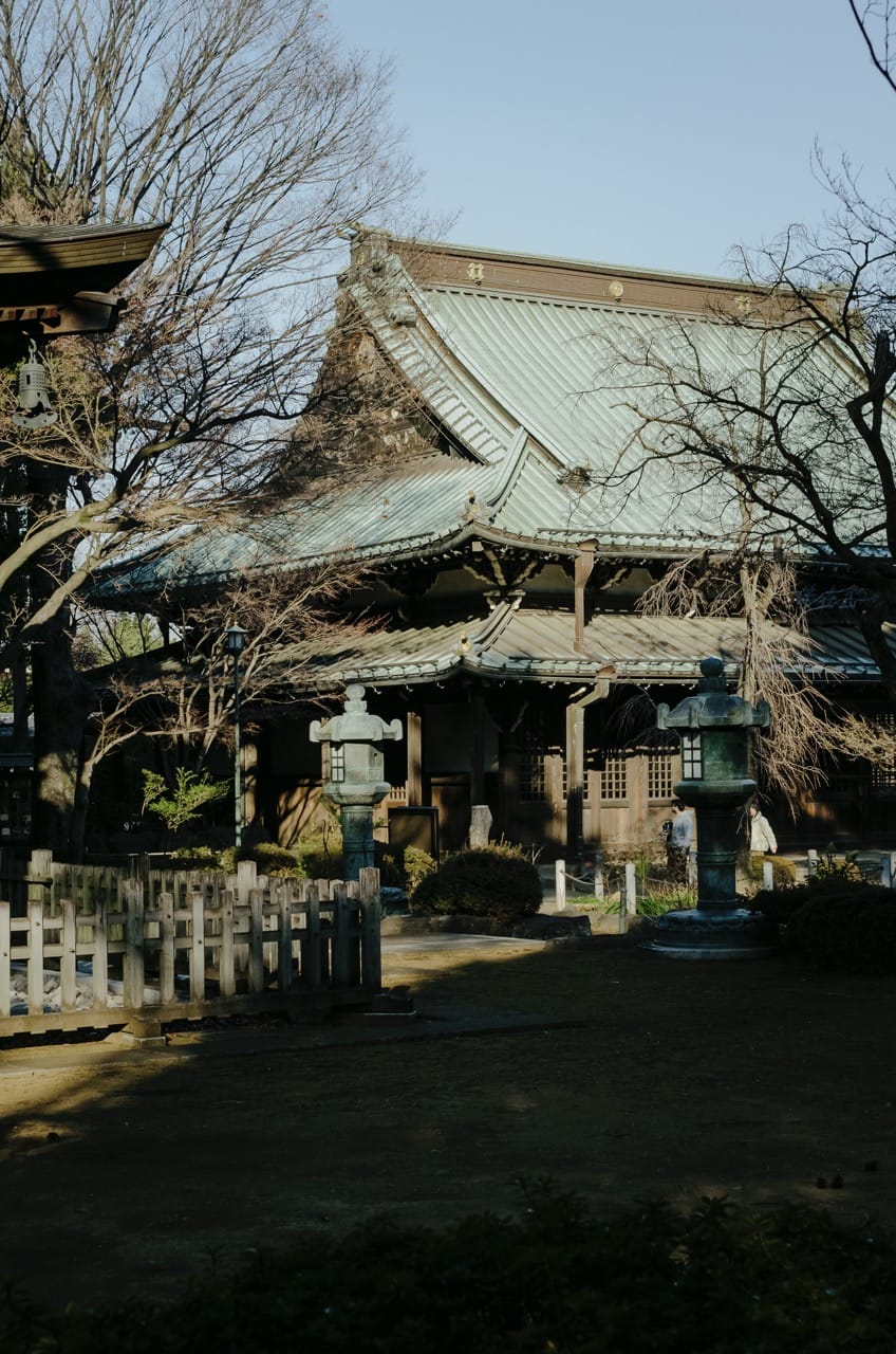 Превью Tokyo 2024